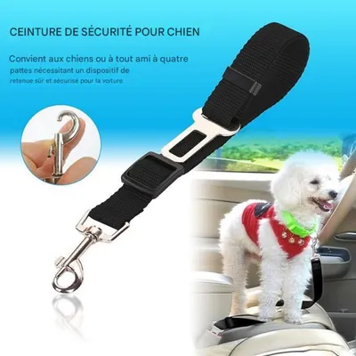 FurryFusion - Ceinture de sécurité pour chien