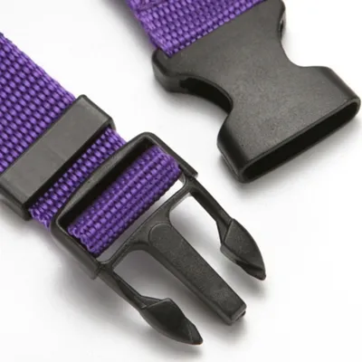 FurryFusion Ceinture de sécurité pour chien en voiture