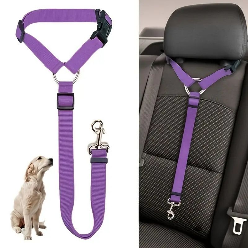 FurryFusion Ceinture de sécurité pour chien en voiture
