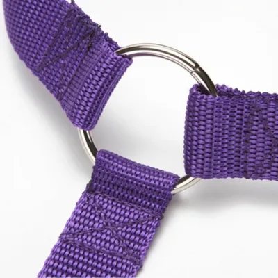 FurryFusion Ceinture de sécurité pour chien en voiture