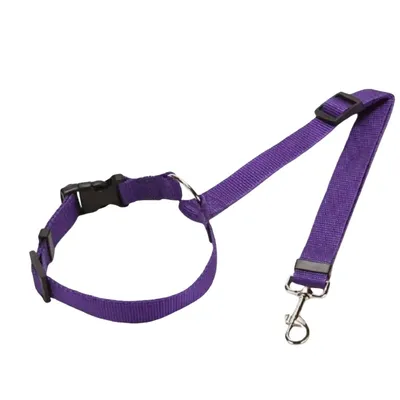 FurryFusion Ceinture de sécurité pour chien en voiture