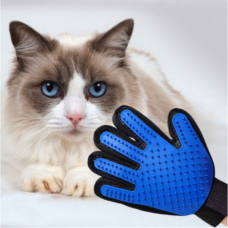 FurryFusion Gant de nettoyage et de brossage pour chat et chien