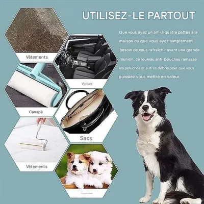 FurryFusion - Brosse dépilatoire