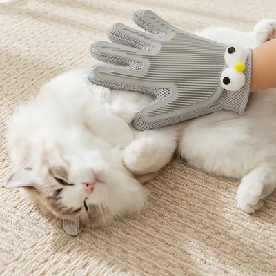 FurryFusion Gant pour caresser et soigner son chat