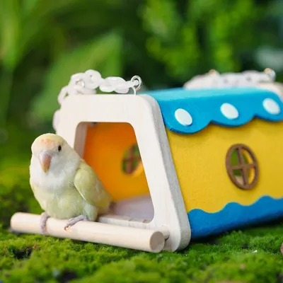 FurryFusion Nid pour perroquet en bois et feutre