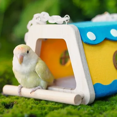 FurryFusion Nid pour perroquet en bois et feutre