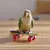FurryFusion Petit jouet de skateboard pour perroquet