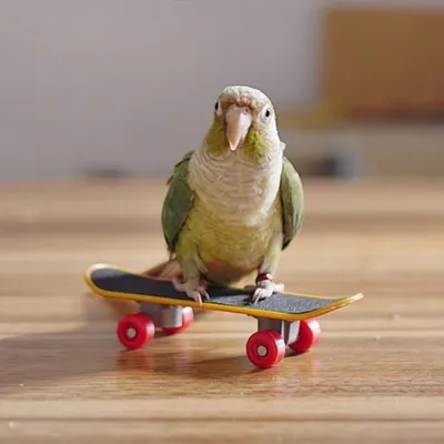 FurryFusion Petit jouet de skateboard pour perroquet