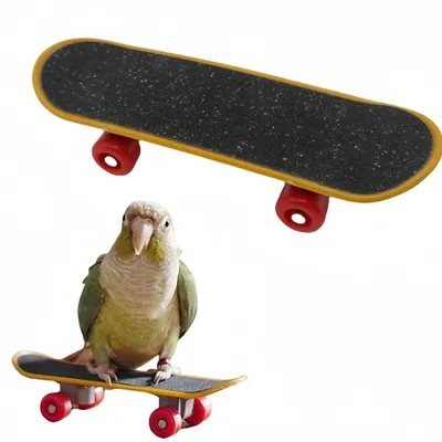 FurryFusion Petit jouet de skateboard pour perroquet FurryFusion Petit jouet de skateboard pour perroquet