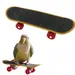 FurryFusion Petit jouet de skateboard pour perroquet