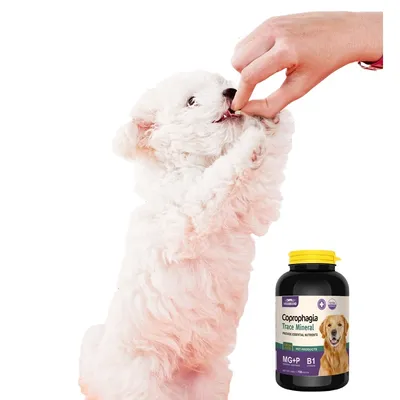 FurryFusion Comprimés de calcium pour chien