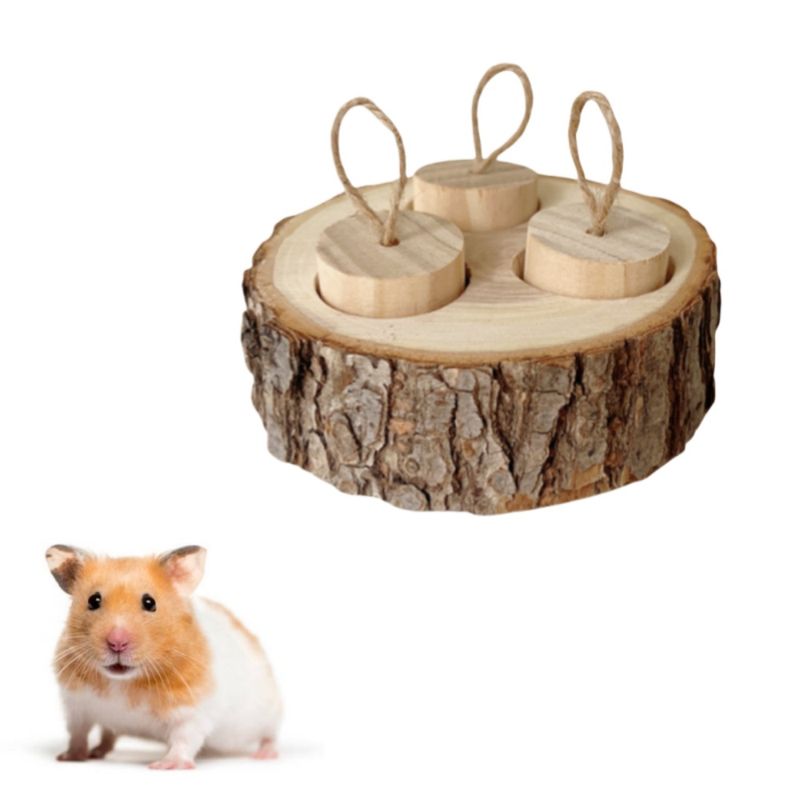 FurryFusion Boîte à friandises en bois pour petits rongeurs