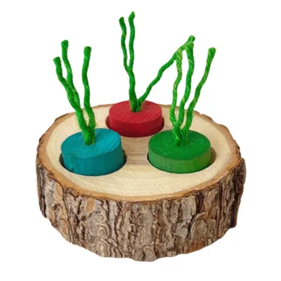 FurryFusion Boîte à friandises en bois pour petits rongeurs