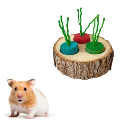 FurryFusion Boîte à friandises en bois pour petits rongeurs FurryFusion Boîte à friandises en bois pour petits rongeurs