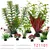 FurryFusion - Plantes aquatiques en plastique
