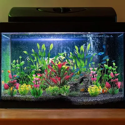 FurryFusion - Plantes aquatiques en plastique