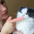 FurryFusion Brosse à dents pour chats et chiens