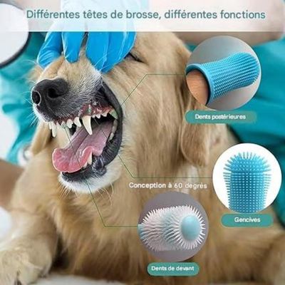 FurryFusion - Brosse à dents pour chien*3