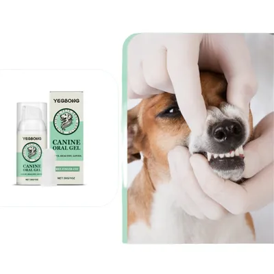 FurryFusion Gel de Nettoyage pour Soin Buccal