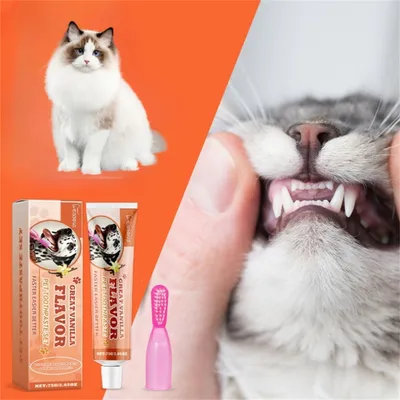 FurryFusion Kit de Dentifrice Compagnie à la Saveur de Vanille