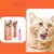 FurryFusion Kit de Dentifrice Compagnie à la Saveur de Vanille