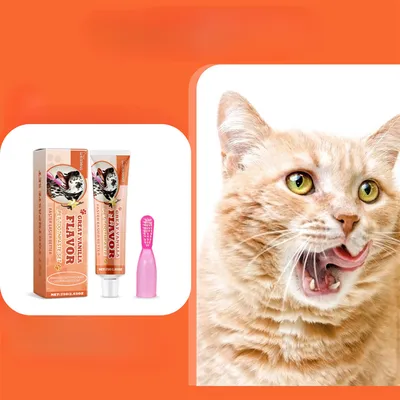 FurryFusion Kit de Dentifrice Compagnie à la Saveur de Vanille
