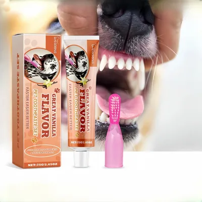 FurryFusion Kit de Dentifrice Compagnie à la Saveur de Vanille