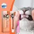 FurryFusion Kit de Dentifrice Compagnie à la Saveur de Vanille