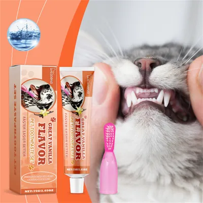 FurryFusion Kit de Dentifrice Compagnie à la Saveur de Vanille