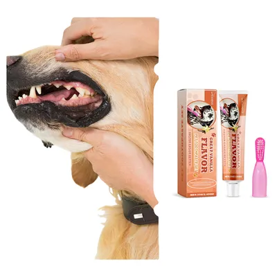 FurryFusion Kit de Dentifrice Compagnie à la Saveur de Vanille