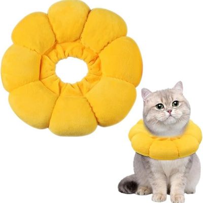 FurryFusion - Collier pour animaux Tournesol