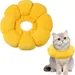 FurryFusion - Collier pour animaux Tournesol
