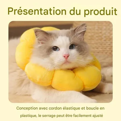 FurryFusion - Collier pour animaux Tournesol