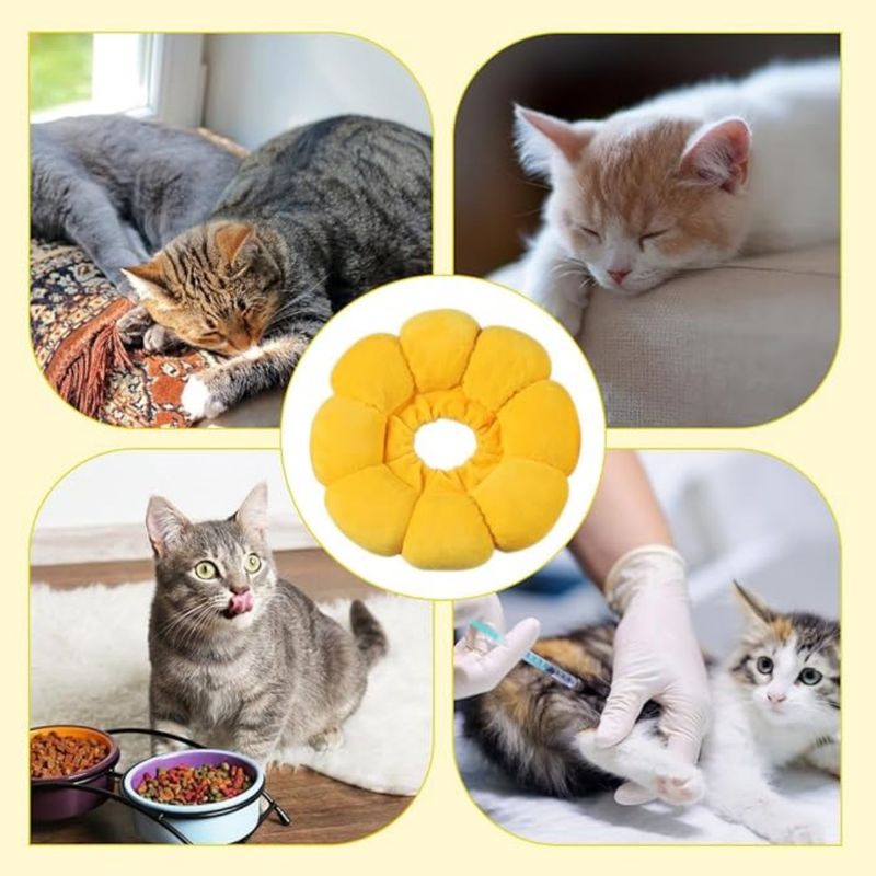 FurryFusion - Collier pour animaux Tournesol