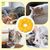 FurryFusion - Collier pour animaux Tournesol