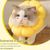 FurryFusion - Collier pour animaux Tournesol