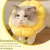 FurryFusion - Collier pour animaux Tournesol