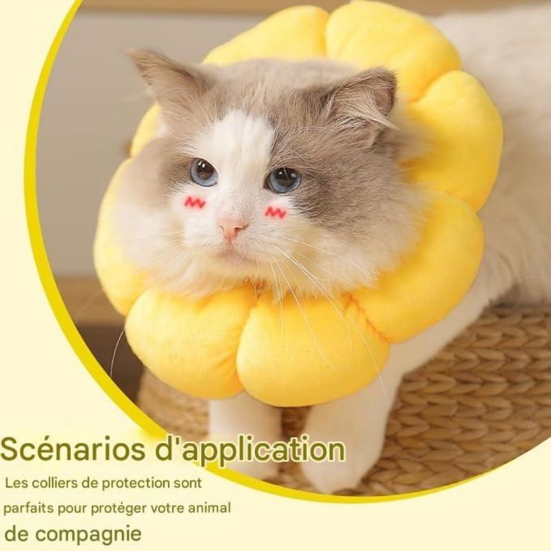 FurryFusion - Collier pour animaux Tournesol
