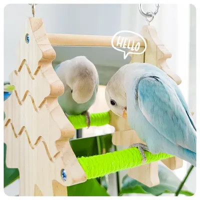 FurryFusion Jouet balançoire miroir double face pour perroquet