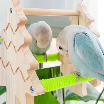 FurryFusion Jouet balançoire miroir double face pour perroquet