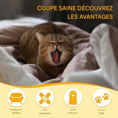 FurryFusion -Coupe-griffes pour chat