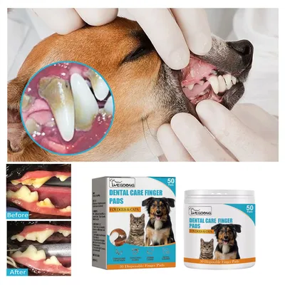 FurryFusion Doigtiers de Nettoyage des Dents pour Chiens et Chats
