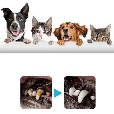 FurryFusion Doigtiers de Nettoyage des Dents pour Chiens et Chats