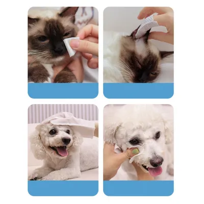 FurryFusion Doigtier nettoyant pour oreilles de chat et chien