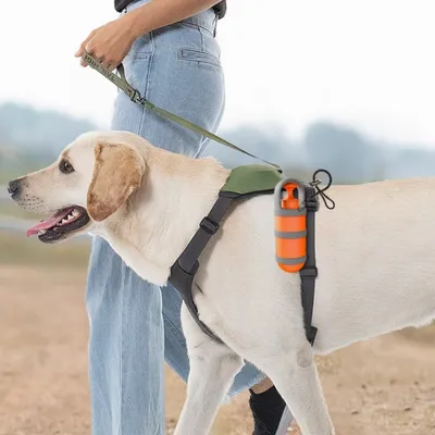 FurryFusion Pince ramasse-crottes pour chien