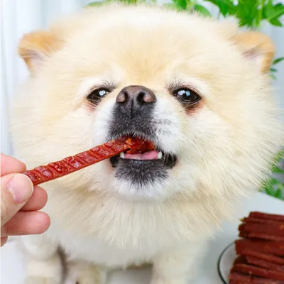 FurryFusion Friandises au lait de chèvre pour animaux de compagnie