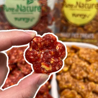 FurryFusion Friandises pour chiens, flocons de poulet