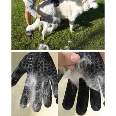 FurryFusion Gant de bain pour chien et chat anti-poil