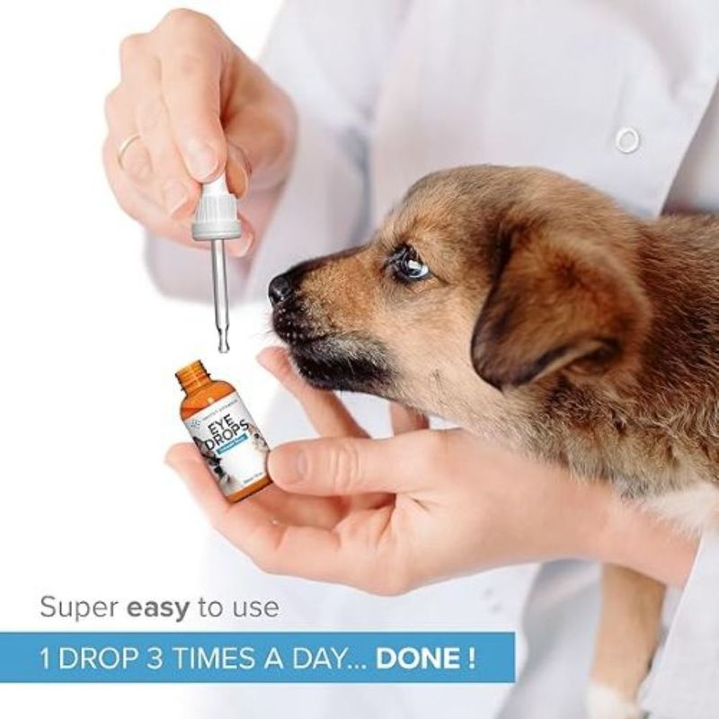Institut Katharos Nettoyant des yeux pour chien & chat - Argent Colloïdal