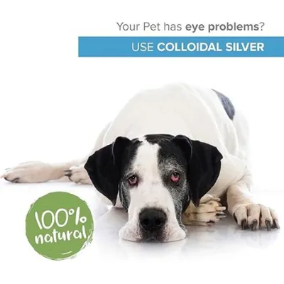 Institut Katharos Nettoyant des yeux pour chien & chat - Argent Colloïdal